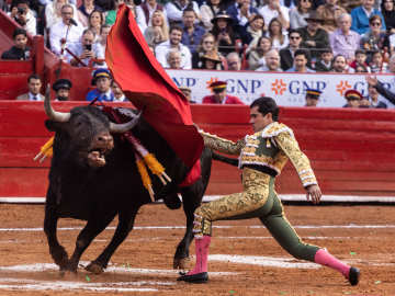 Mexico City Bans Popular Sporting Event That Can Harm, Kill… 