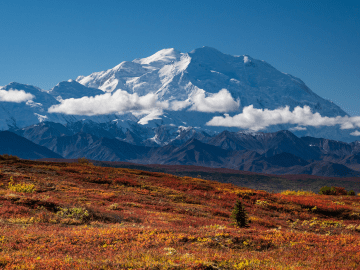 Due to Cloud Coverage, Most Alaskan Tourists Never Get to See Denali. Here
