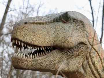 T. Rex Walked Much Slower Than You… 