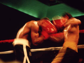 Pro Boxer Dies After Mid-Fight… 