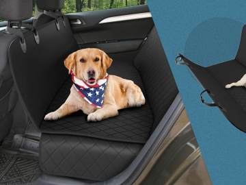 This Popular Pet Car Seat Cover That