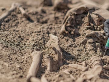 Remains Reveal Earliest Evidence of Human-on Human Violence in… 