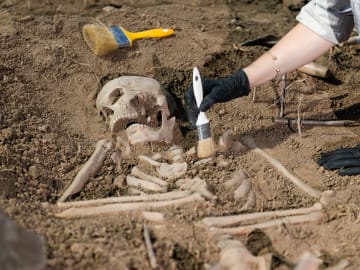 Researchers Discover Previously Unknown Human… 