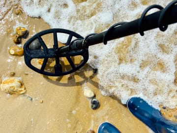 Metal Detectorist Pleads Guilty to Lying About 