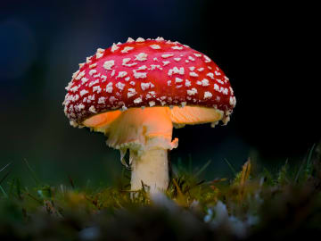 Lost Hikers Evacuated After Suffering 