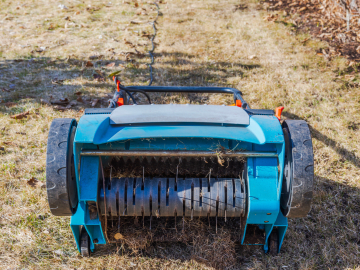 Grass Looking Dull and Patchy? Here