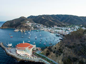 Marathon Swimmer Bitten by Shark Attempting Famed Channel… 