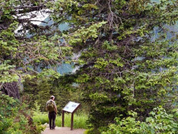 Cruise Passenger Dies From Fall on Popular Alaskan… 