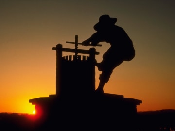 Italian Man Killed In Freak Winemaking… 