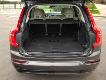 Woman Sues Volvo Over Brain Injury Allegedly Caused by Dog Closing Car… 