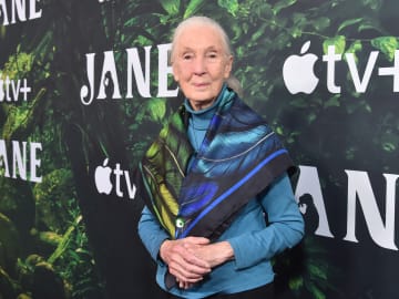 Official Cause of Death Revealed for Jane… 