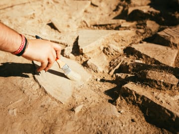 New Orleans Couple Uncovers 1900-Year-Old Roman Tombstone in Their… 