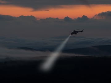 Officials Deny Rumors in Bizarre Missing Model… 