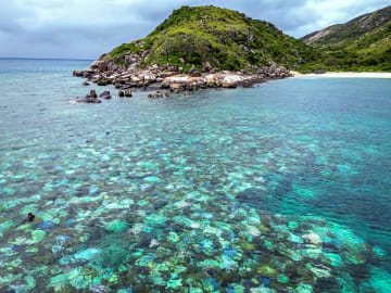 Daughter of Late Cruise Ship Passenger Speaks Out After 