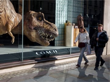 Scientists Make Major T. Rex Discovery, Rewriting History of the Most Intriguing… 