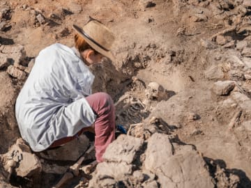 Preserved Skeleton, Bronze Sword Found at Ancient Burial… 