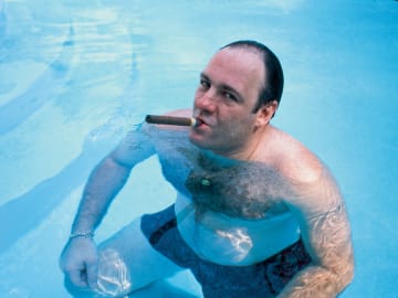 21 Best Tony Soprano Quotes About Family, Respect, and Being the… 