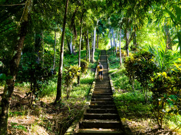 American Tourist Killed on Popular Island After Seeking… 