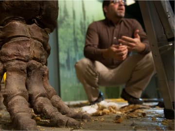 Giant Dinosaur Footprints Discovered in Colorado Date Back 150 Million… 