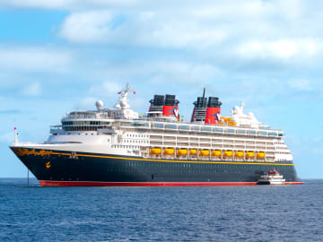 Passenger Missing After Going Overboard Disney Cruise… 