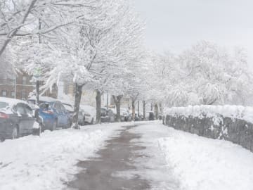 Winter Storm Warning Map Shows Weather Whiplash Announced for 46… 