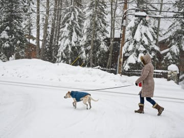 Winter Storm Warning Map Shows Which States Will Get 24 Inches of… 