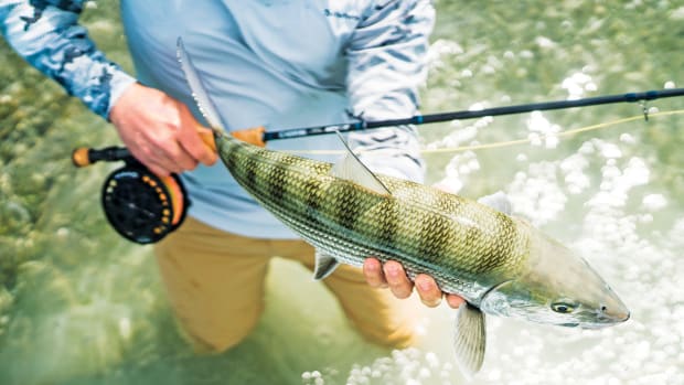 Why you should try tenkara-style no-reel fly fishing • Outdoor Canada