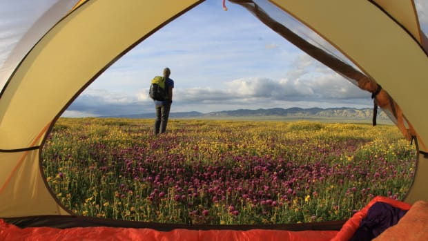 View of hiker standing in a field of wildflowers in Carrio Plain National Monument, CA, through an open tent doorway