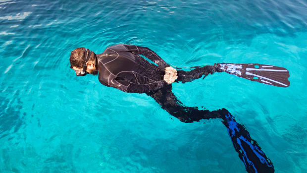 Man snorkeling in the water wearing a wetsuit.