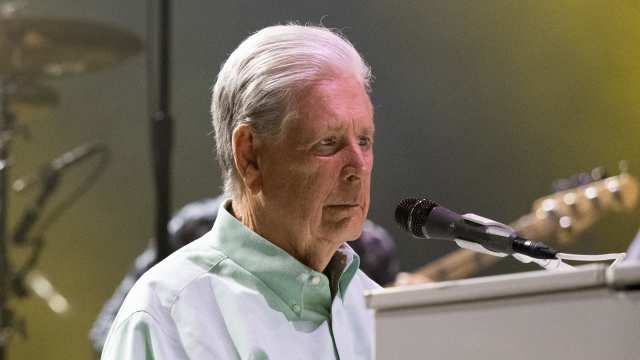 Brian Wilson's Net Worth Before Death, Explained