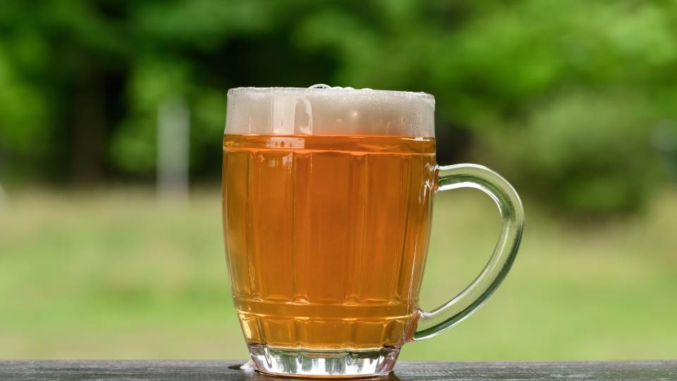 Golden, full-bodied lager poured into a mug with a thick glass handle