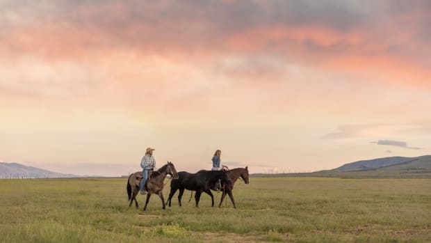 Cowboys riding horses at sunset