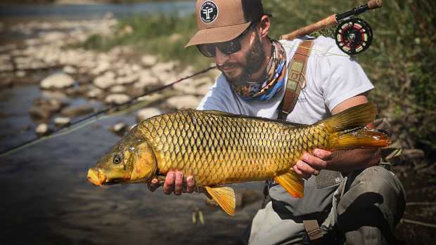 River Gold: Learn About Fly Fishing for Carp in This One Day Event