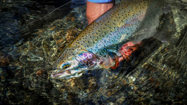 How to Enjoy Winter Without Fly Fishing? Bourbon, BB King, and Fly Tying. -  Men's Journal
