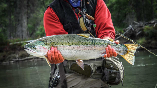 Buying a Fly Fishing Rod Can Feel Like March Madness-How To Select