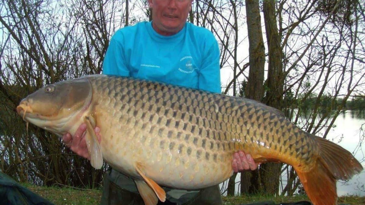 World-record carp caught twice in a week by different anglers - Men's  Journal