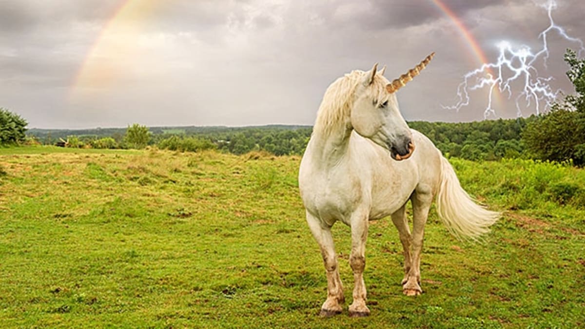 10 Things You See in Porn that Dont Happen in Real Life