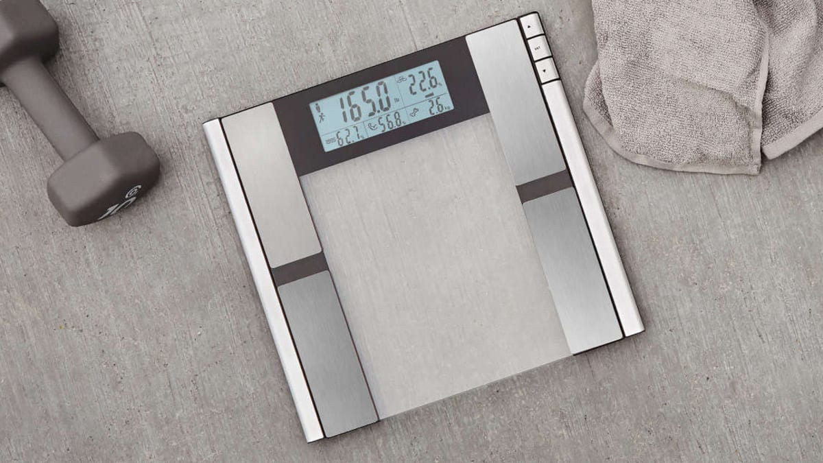 Digital Scale and Body Analyzer, Work It by Vanity Planet - Scales for Body  Weight, Body Fat, Muscle Mass, Bone Density, Water Weight, 397 Pound