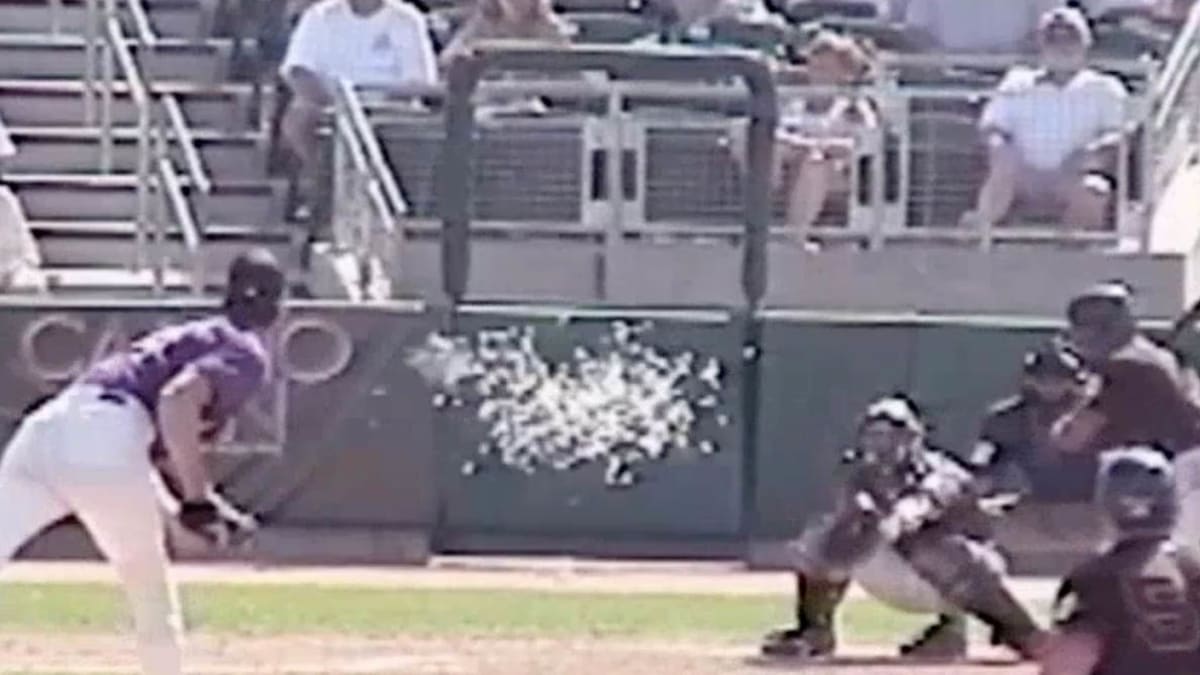 Fit Fix: 15 Years Ago Today, Randy Johnson Obliterated a Bird With