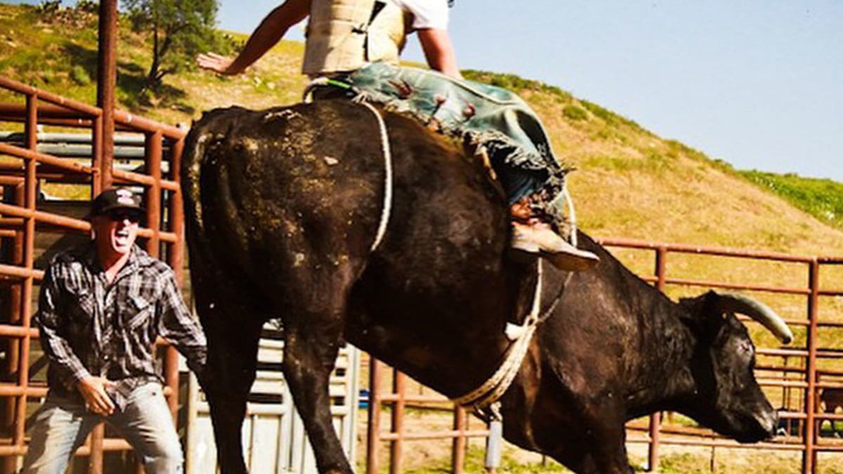 The Longest Ride' star Scott Eastwood grabs the bull by the horns