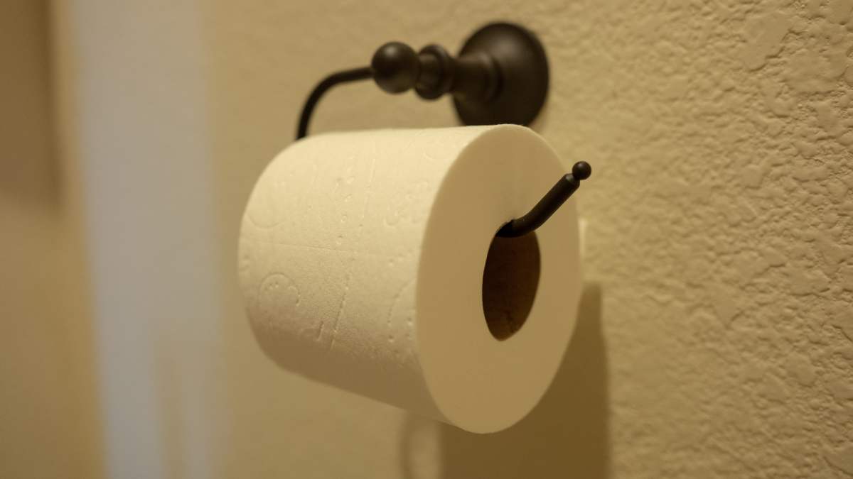 Popular Toilet Paper Question Answered by Scientist