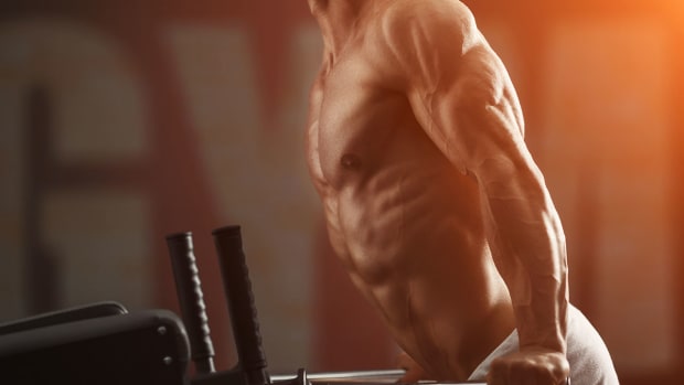 Workouts by sales body part