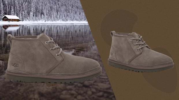 Dsw mens chukka boots deals