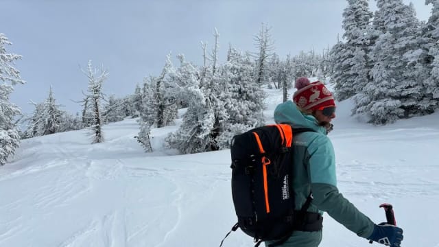 Mammut pro airbag store