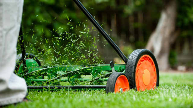 Don t Mow Your Lawn When It s Wet Here s Why Men s Journal Home Living Handbook
