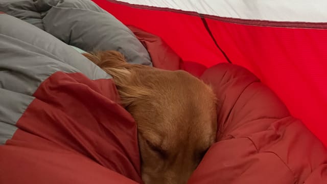 The Western Mountaineering Kodiak MF is an absolute oven of a sleeping bag Men s Journal Out of the Office