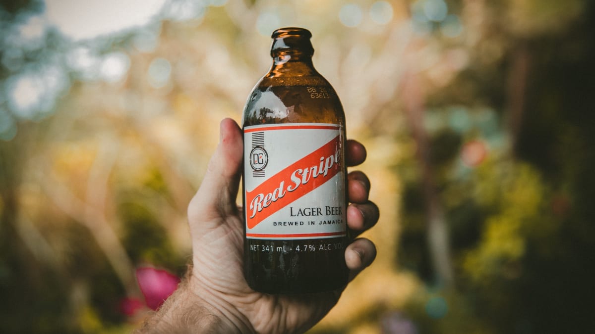 Bear bottle sales
