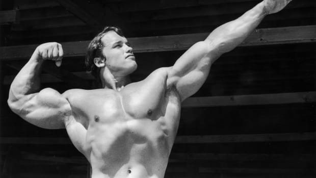 Arnold schwarzenegger sales upper body workout