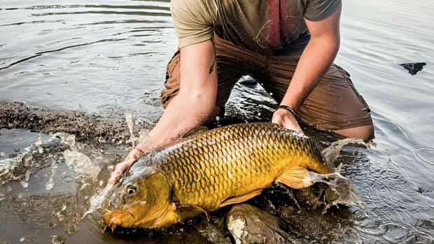 Carp online fishing drone