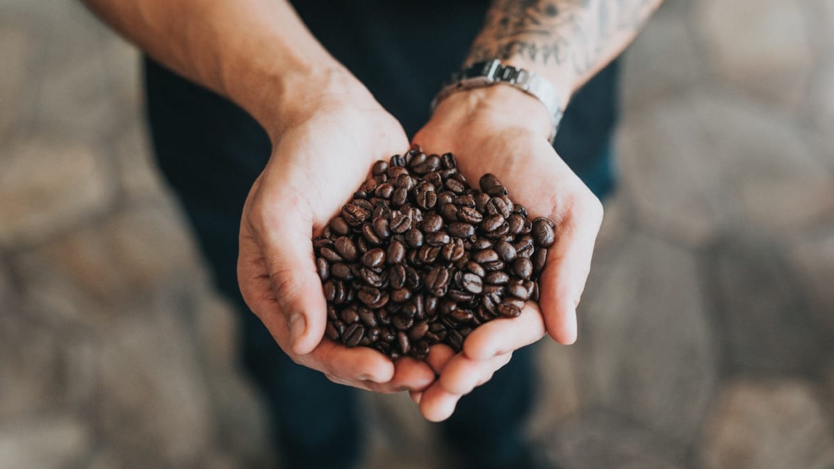 Best coffee beans in austin clearance